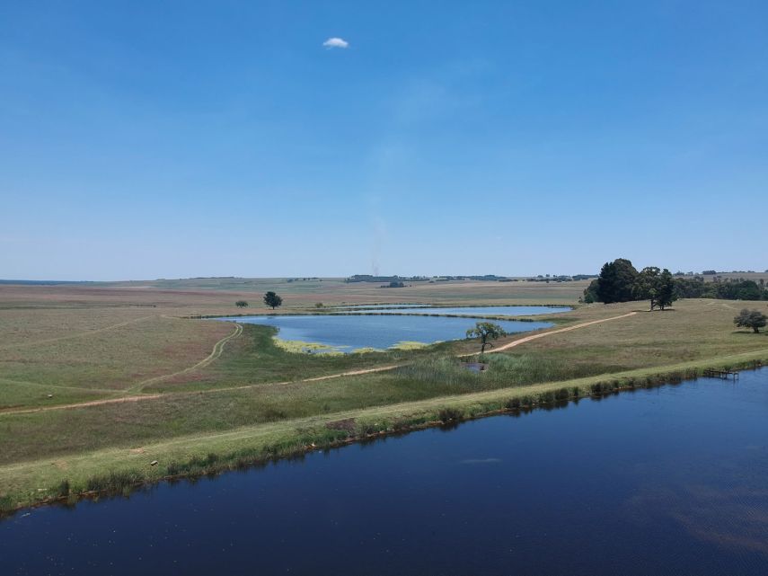 TFFC Dams 1, 2, 5 and 6