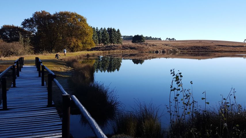 TFFC Dam 7