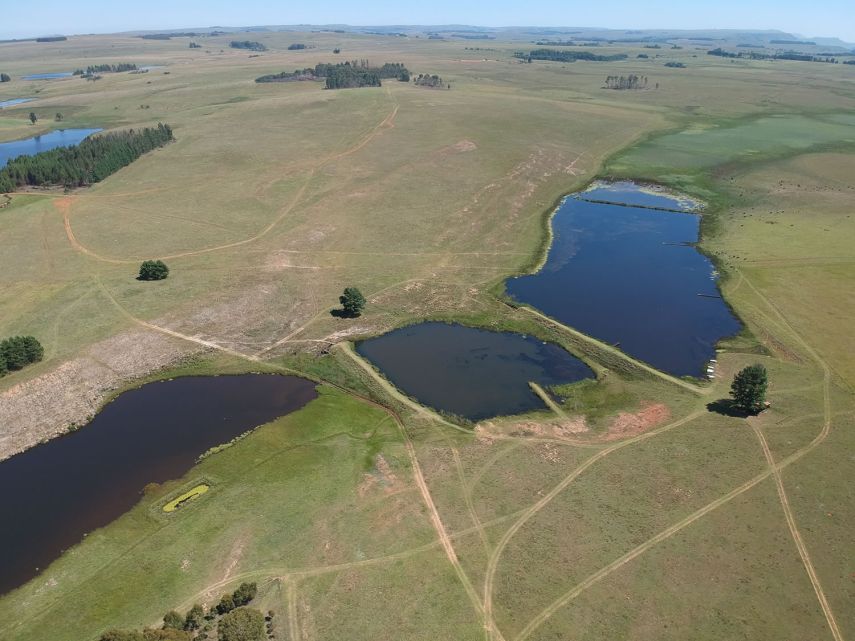 TFFC Dams 3, 4 and 7