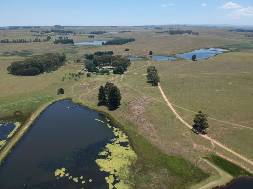 TFFC Dams 3, 4 and 5