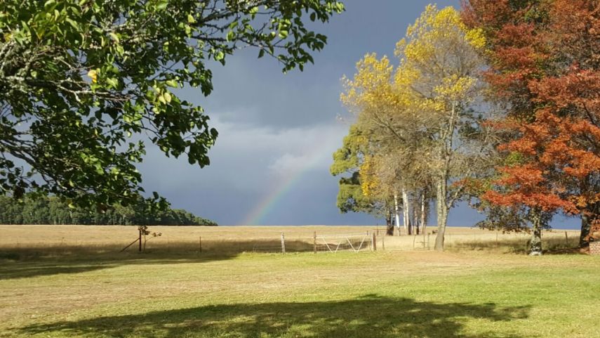 TFFC Farmhouse view